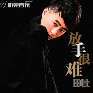 收聽田壯的放手很難歌詞歌曲