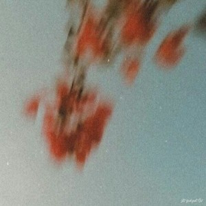Listen to 宝物 (feat. Sol) song with lyrics from Lil Yeek
