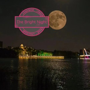 Listen to The Bright Night(Piano Version) (完整版) song with lyrics from Zaminder