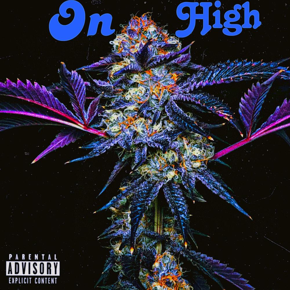 On High (feat. Asha) (Explicit)