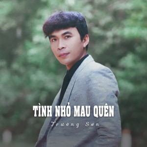 Album Tình Nhỏ Mau Quên (Ytmix) from Truong Son
