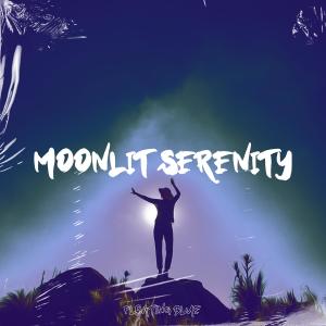 Album Moonlit Serenity from Blue Cat Guy