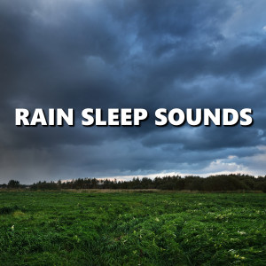 收听Deep Sleep的Windy Outside Pouring Rain Sounds歌词歌曲