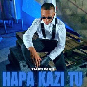 Listen to Hapa Kazi Tu song with lyrics from Trio Mio