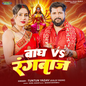 Album Bagh Vs Rangbaj from 
