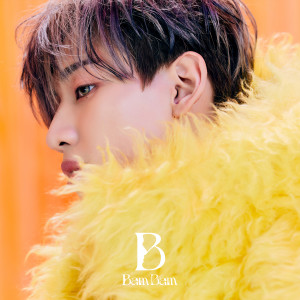 Album B from BamBam