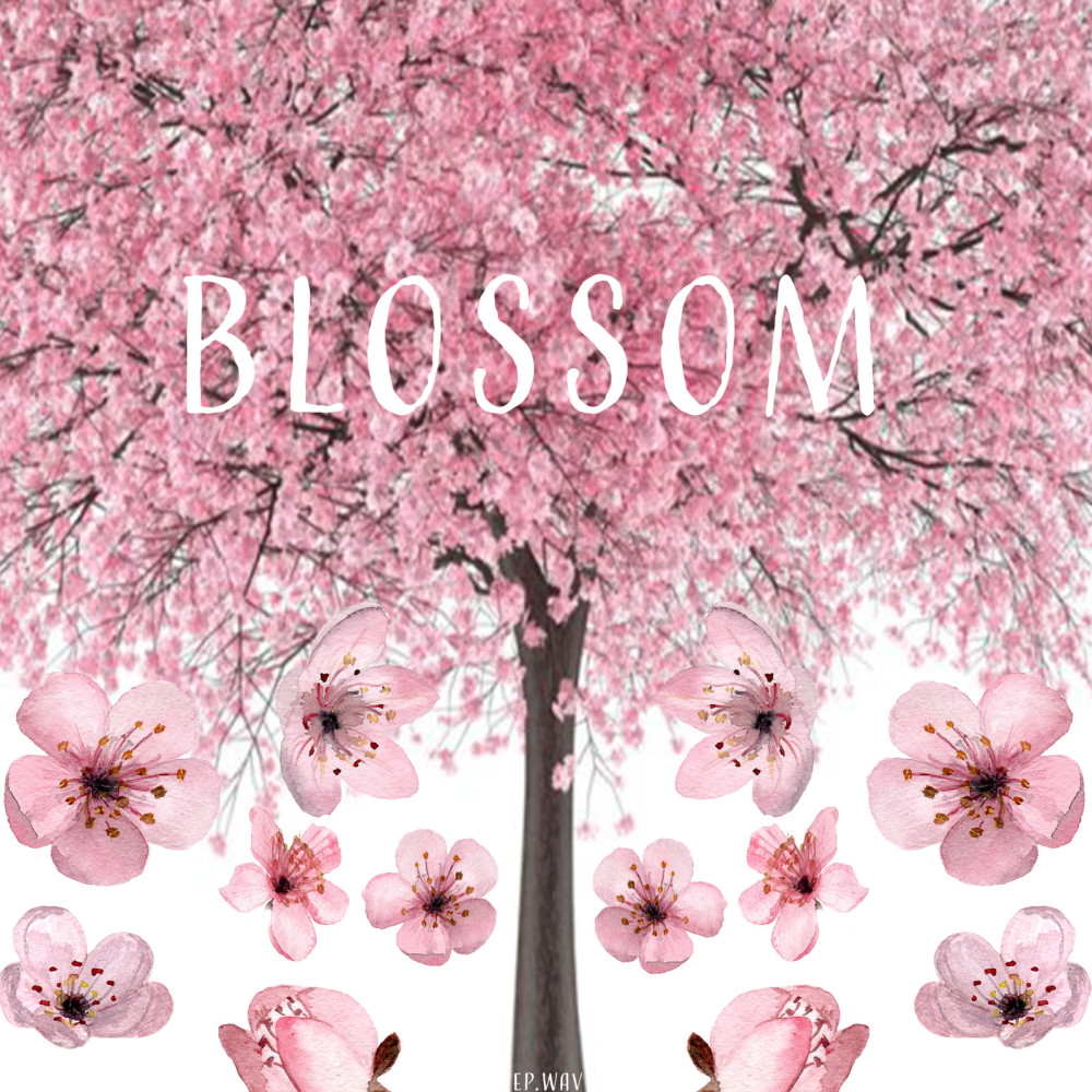 Blossom (Explicit)