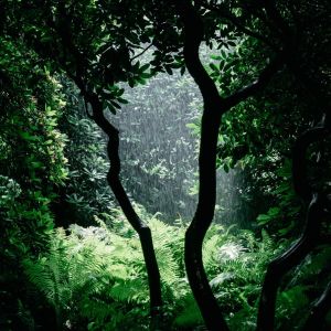 Listen to Sleep Time song with lyrics from Sleep Sounds of Nature