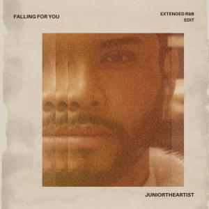 JuniorTheArtist的專輯Falling For You (Extended R&B Edit)