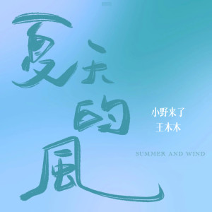 王木木的专辑夏天的风（双人合唱版）