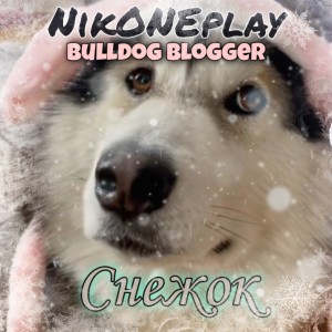 Listen to Снежок song with lyrics from NikONEplay