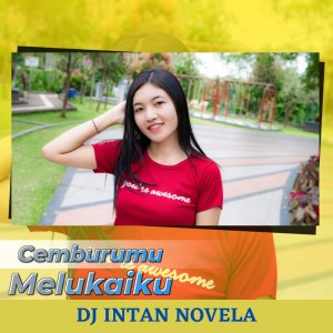 Dengarkan Cemburumu Melukaiku lagu dari DJ Intan Novela dengan lirik