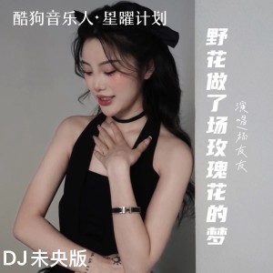 Listen to 野花做了场玫瑰花的梦 (DJ未央版伴奏) song with lyrics from 杨友友