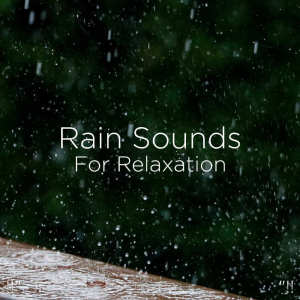 Listen to Asmr Rain Water song with lyrics from Rain Sounds