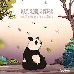 Listen to Hey, Soul Sister song with lyrics from Viva La Panda
