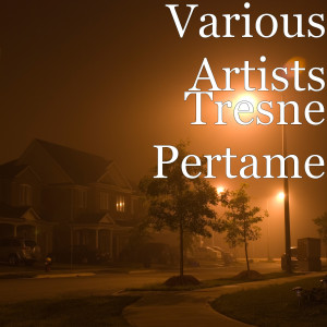 Listen to Tresne Pertame song with lyrics from Dek Putri
