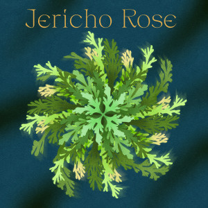 Obey的專輯Jericho Rose