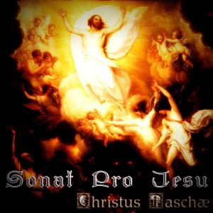 Listen to Angel Vopiyashe - The Angel Is Crying (Instrumental) song with lyrics from Sonat Pro Jesu