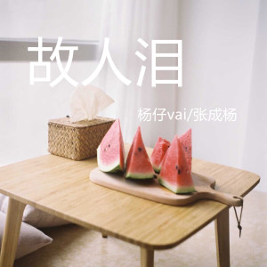 收听杨仔zai的故人泪歌词歌曲