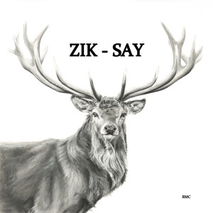 Listen to SAY song with lyrics from ZIK