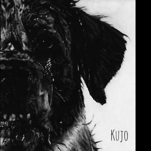 อัลบัม Kujo (Explicit) ศิลปิน Shono Mercy