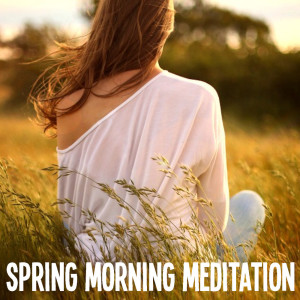 อัลบัม Spring Morning Meditation ศิลปิน Various Artists