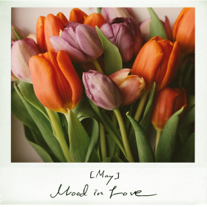 ดาวน์โหลดและฟังเพลง Pictures Of You พร้อมเนื้อเพลงจาก Piano:el