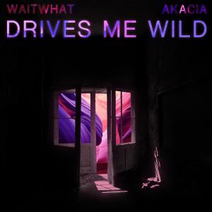 Listen to Drives Me Wild song with lyrics from waitwhat
