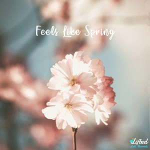 Listen to Feels Like Spring song with lyrics from Jwxd