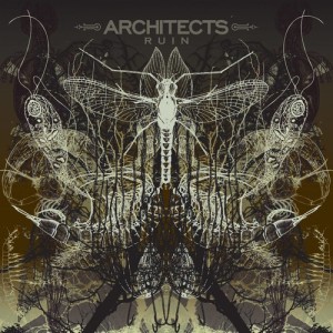 ดาวน์โหลดและฟังเพลง Hunt Them Down พร้อมเนื้อเพลงจาก Architects