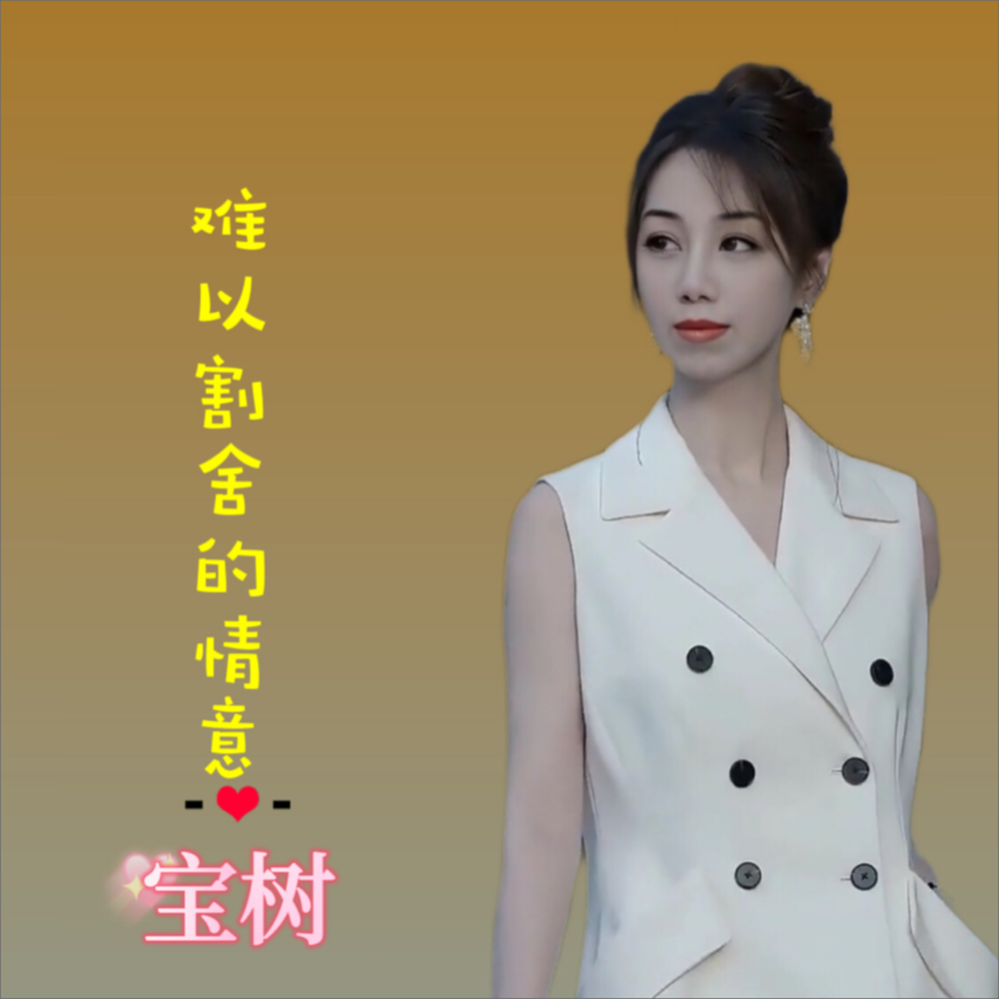 难以割舍的情意（女声） (伴奏)