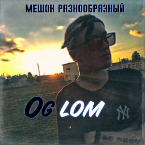 Album Мешок Разнообразный (Explicit) from Og Lom