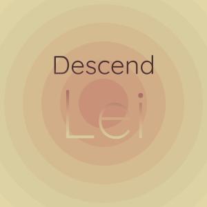 Various的专辑Descend Lei