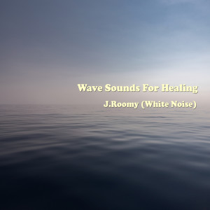 Album Wave Sounds For Healing oleh J.Roomy