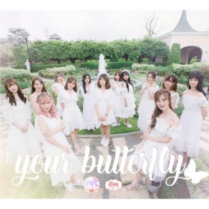 ดาวน์โหลดและฟังเพลง YOUR BUTTERFLY (FMA Parfait) พร้อมเนื้อเพลงจาก CmCafe