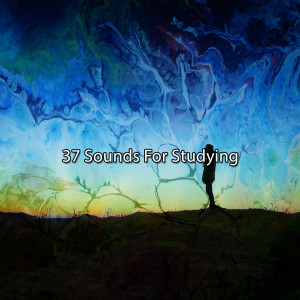 37 Sounds For Studying