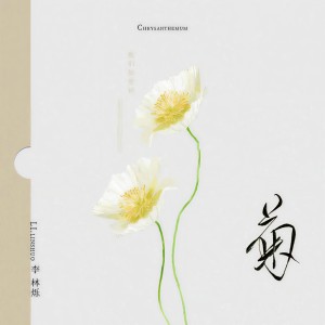 Album 菊 from 小根号