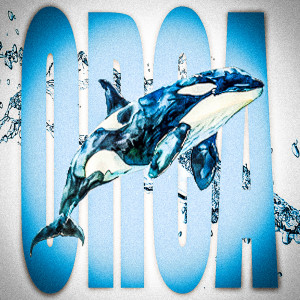 Listen to Orca (Explicit) song with lyrics from Zimon