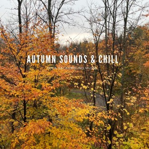Mother Nature Sounds的专辑Autumn Sounds & Chill
