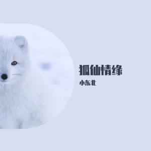 Listen to 狐仙情缘 (伴奏) song with lyrics from 小东北