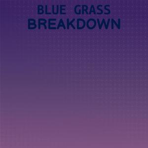 Silvia Natiello-Spiller的专辑Blue Grass Breakdown