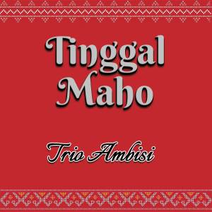 Listen to Tinggal Maho song with lyrics from Trio Ambisi