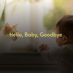Various Artists的专辑Hello, Baby, Goodbye