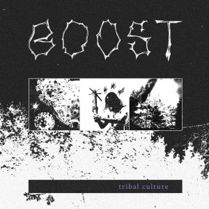 ดาวน์โหลดและฟังเพลง Ice Age (Explicit) พร้อมเนื้อเพลงจาก Boost