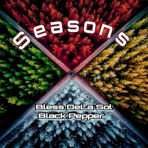收聽Bless DeLa Sol的Seasons歌詞歌曲