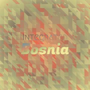 Various Artists的專輯Integrated Bosnia