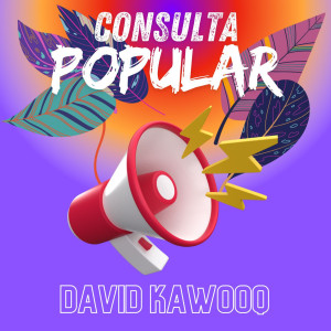 ดาวน์โหลดและฟังเพลง Consulta Popular พร้อมเนื้อเพลงจาก David Kawooq