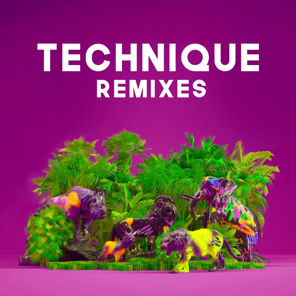 Technique (Dan Aux Remix)