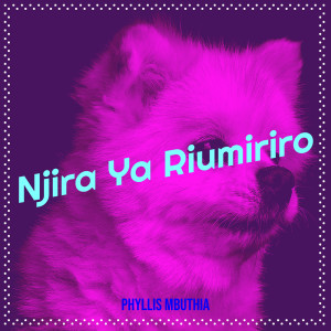 Album Njira Ya Riumiriro from Phyllis Mbuthia