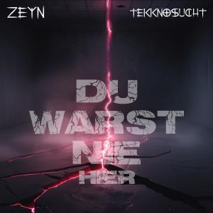 ดาวน์โหลดและฟังเพลง Du warst nie hier พร้อมเนื้อเพลงจาก Zeyn